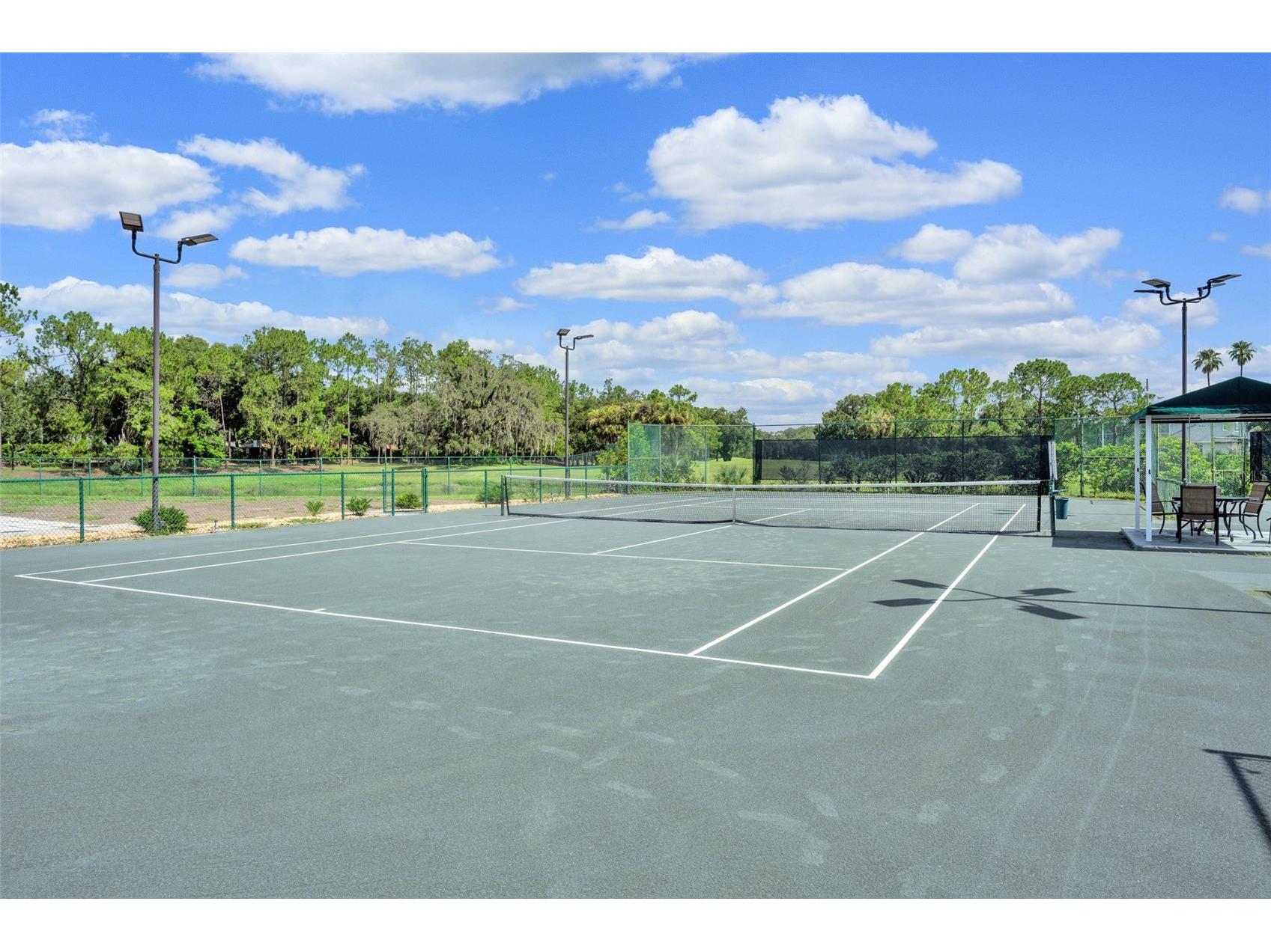 5429 Burnt Hickory Drive Valrico FL 33596 A4700752 image44