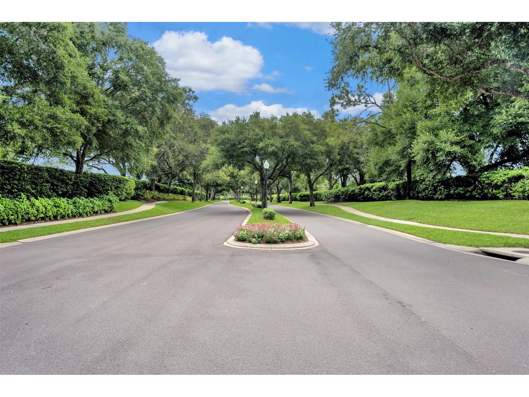 5429 Burnt Hickory Drive Valrico FL 33596 A4700752 image49