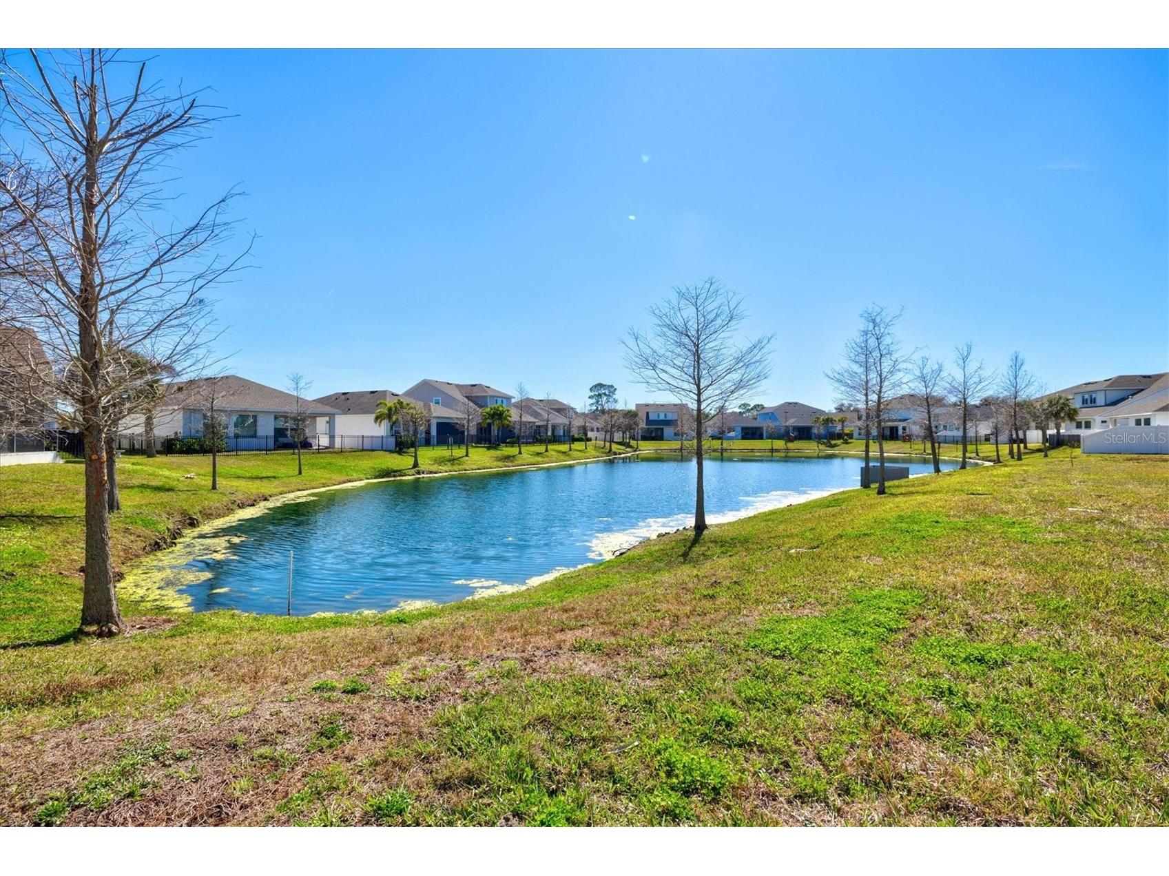 5429 Spanish Moss Cove Bradenton FL 34203 A4684043 image37