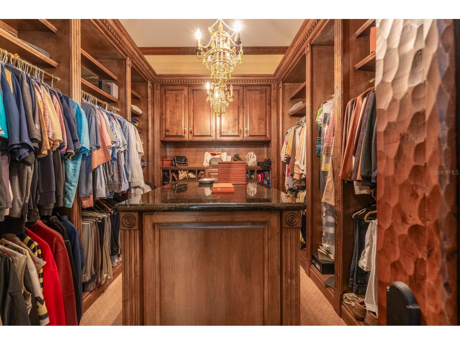 543 Isleworth Close Tarpon Springs FL 34688 O6378555 image35