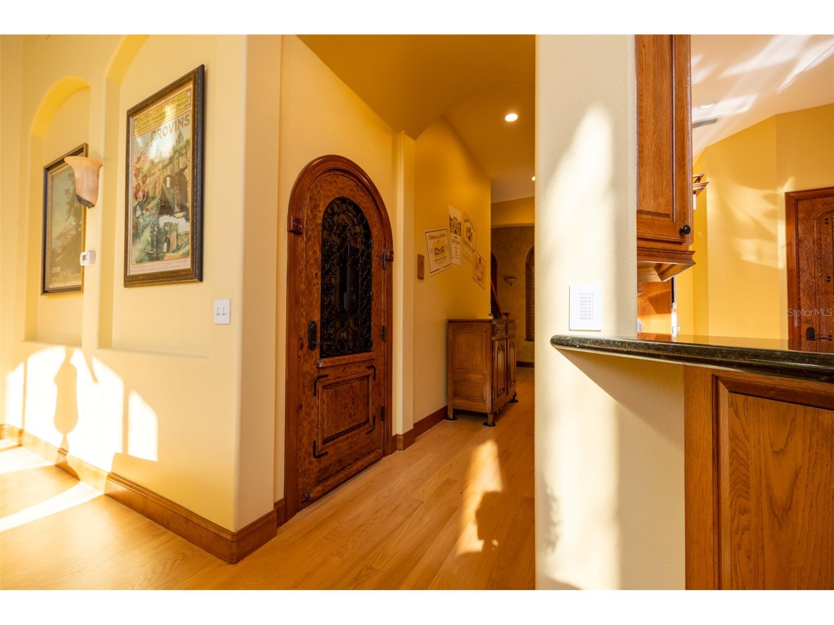 543 Isleworth Close Tarpon Springs FL 34688 O6378555 image70