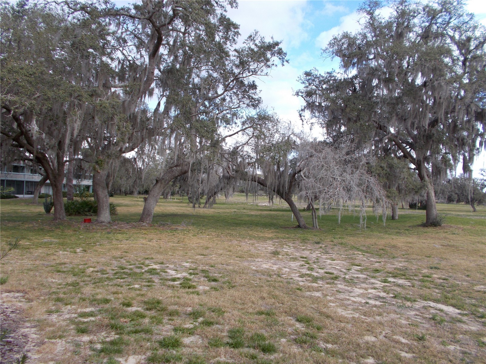 543 Maple Leaf Court #543 Haines City FL 33844 P4937241 image23