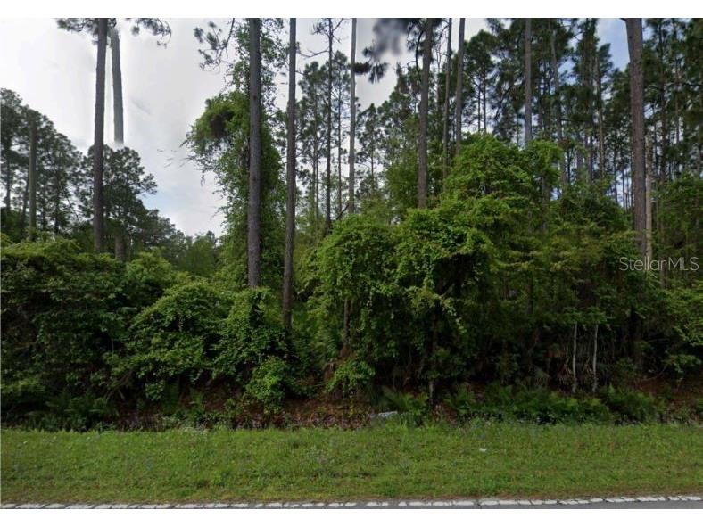 543 Palmetto Bluff Palatka FL 32177 S5101698 image1