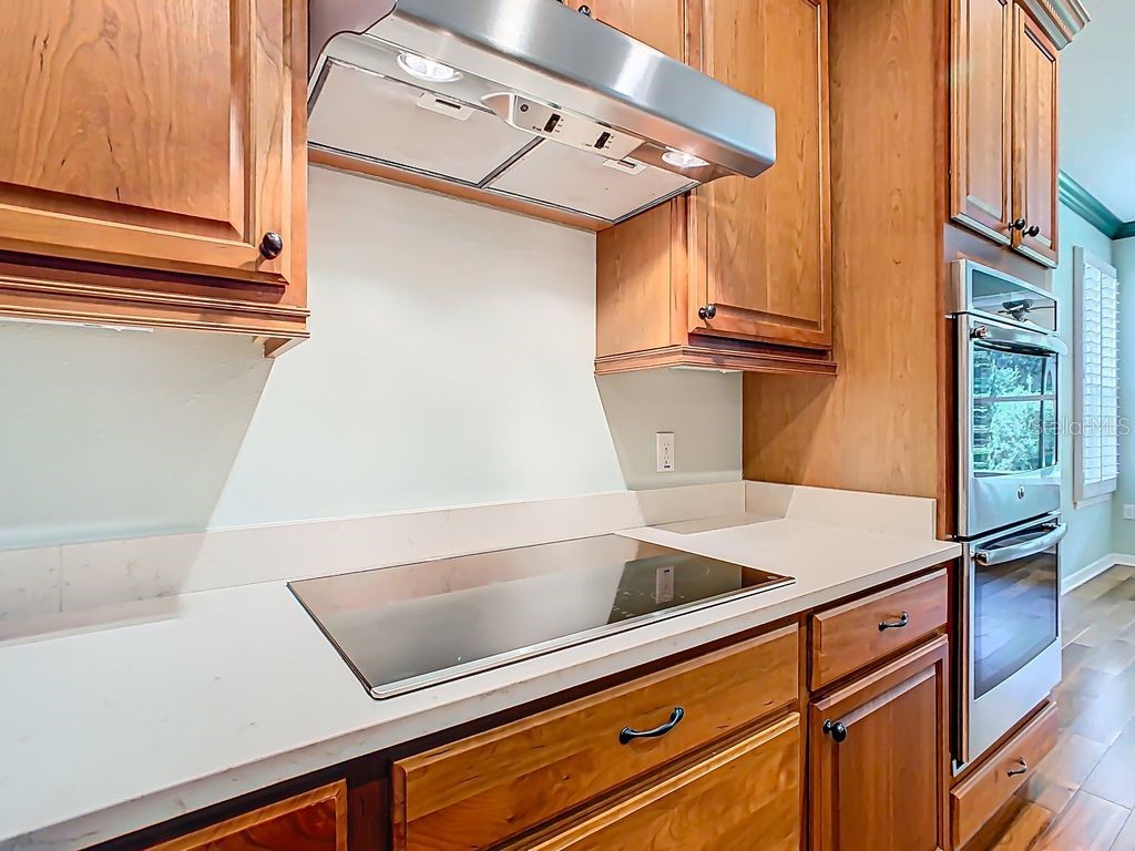 543 Via Vitale Court Kissimmee FL 34759 S5137772 image21