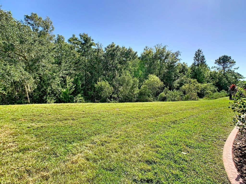 543 Via Vitale Court Kissimmee FL 34759 S5137772 image3