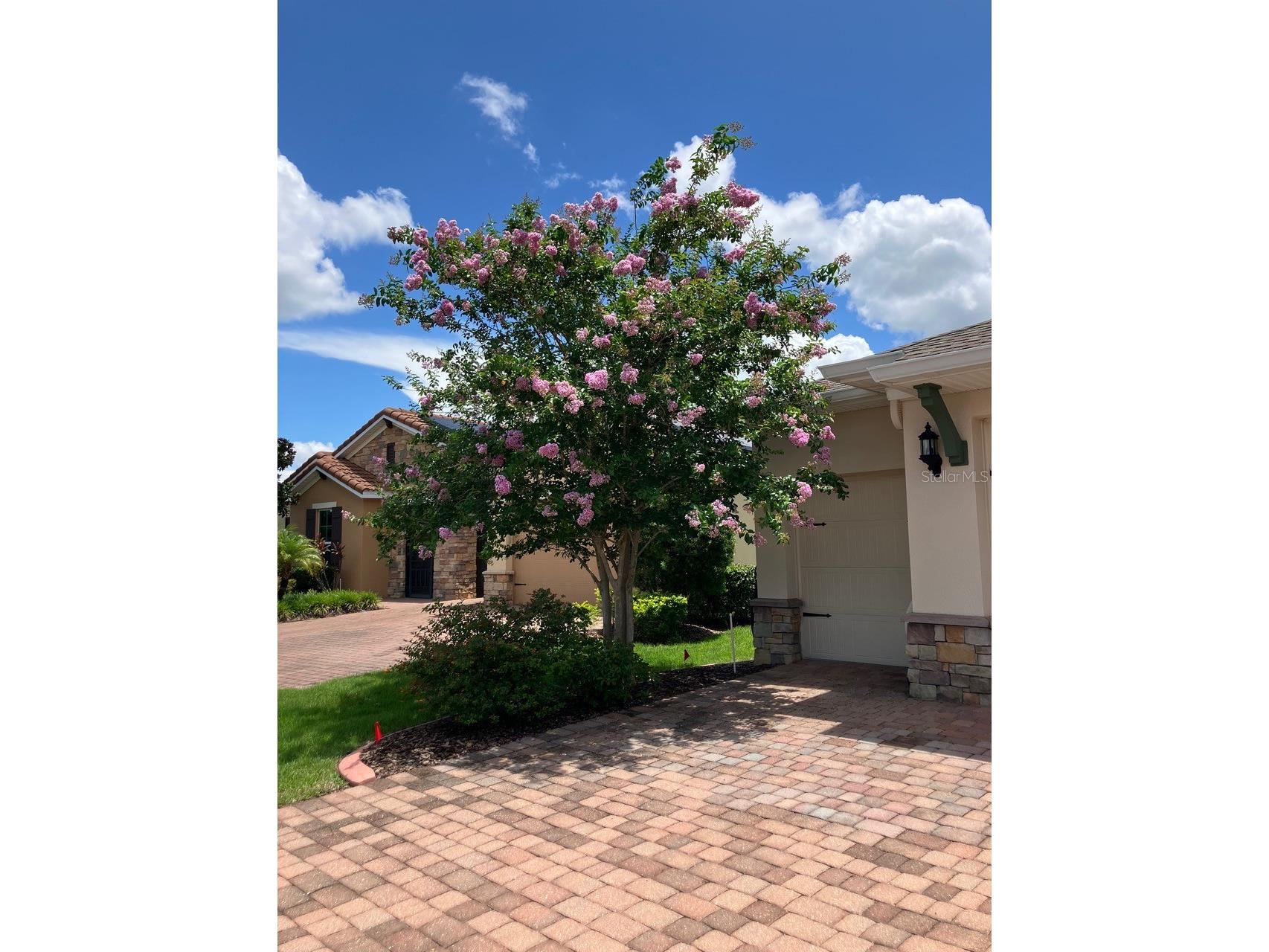 543 Via Vitale Court Kissimmee FL 34759 S5137772 image65