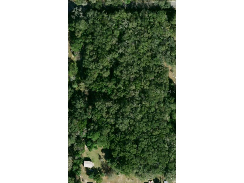 5430 Basie Street Zephyrhills FL 33542 TB8367888 image7