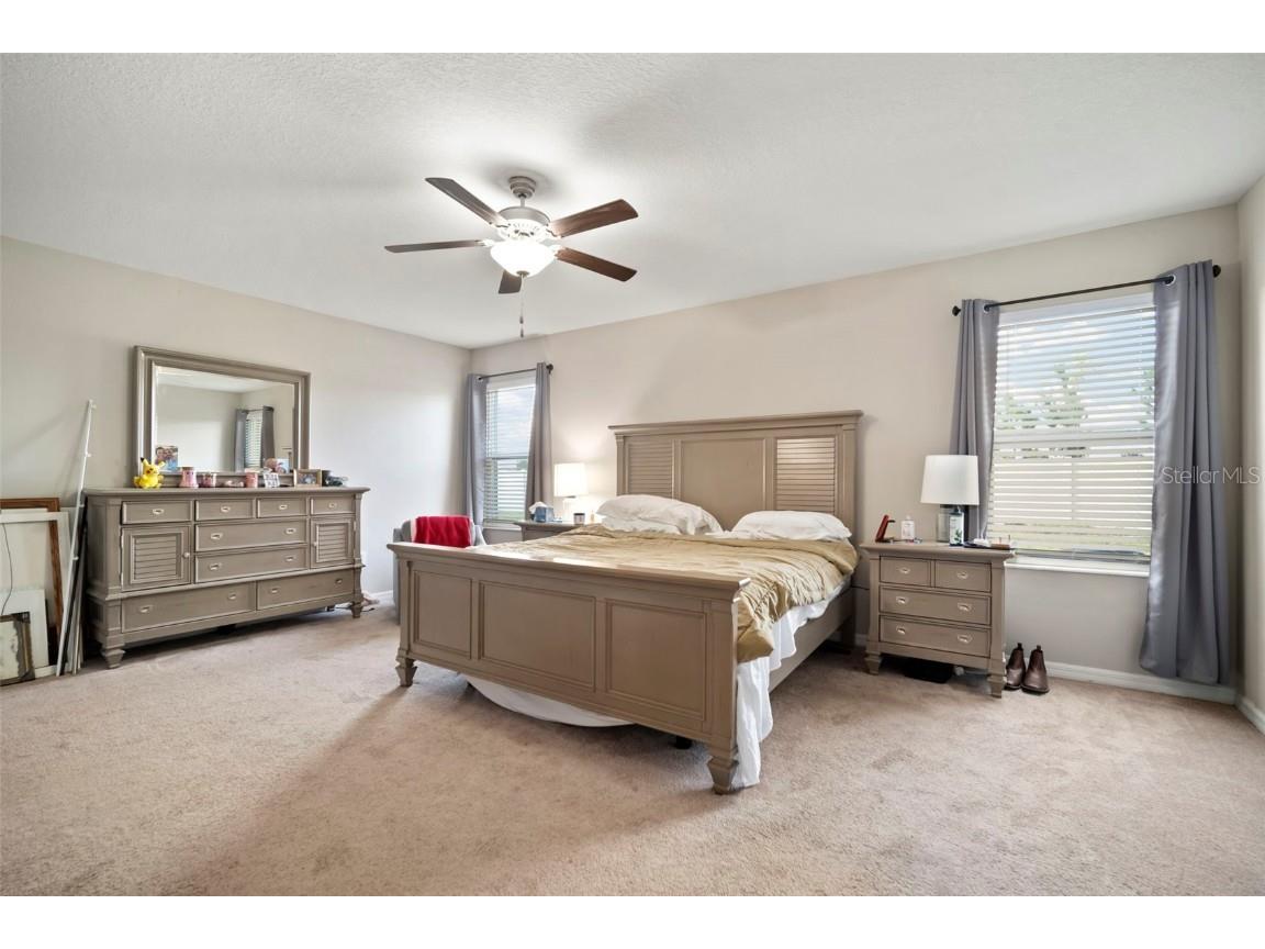 5430 Blue Azure Drive Wimauma FL 33598 TB8435883 image24