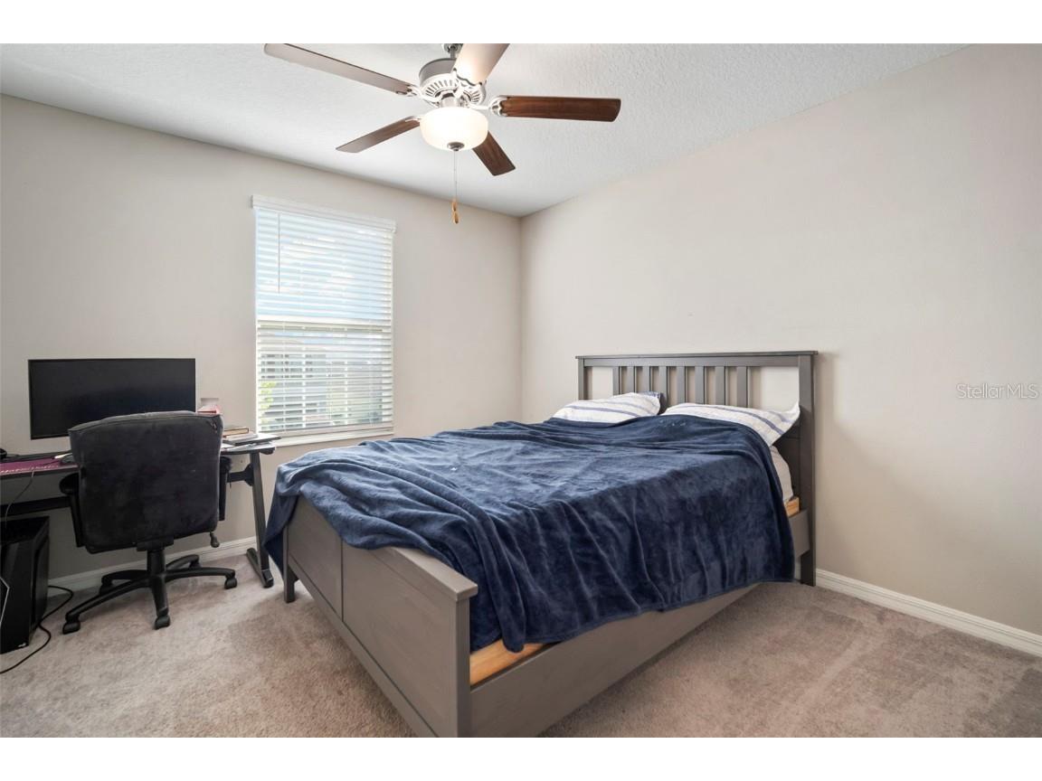 5430 Blue Azure Drive Wimauma FL 33598 TB8435883 image43