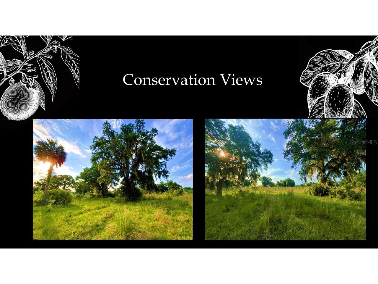 5430 SW 125th Circle Archer FL 32618 GC535171 image4