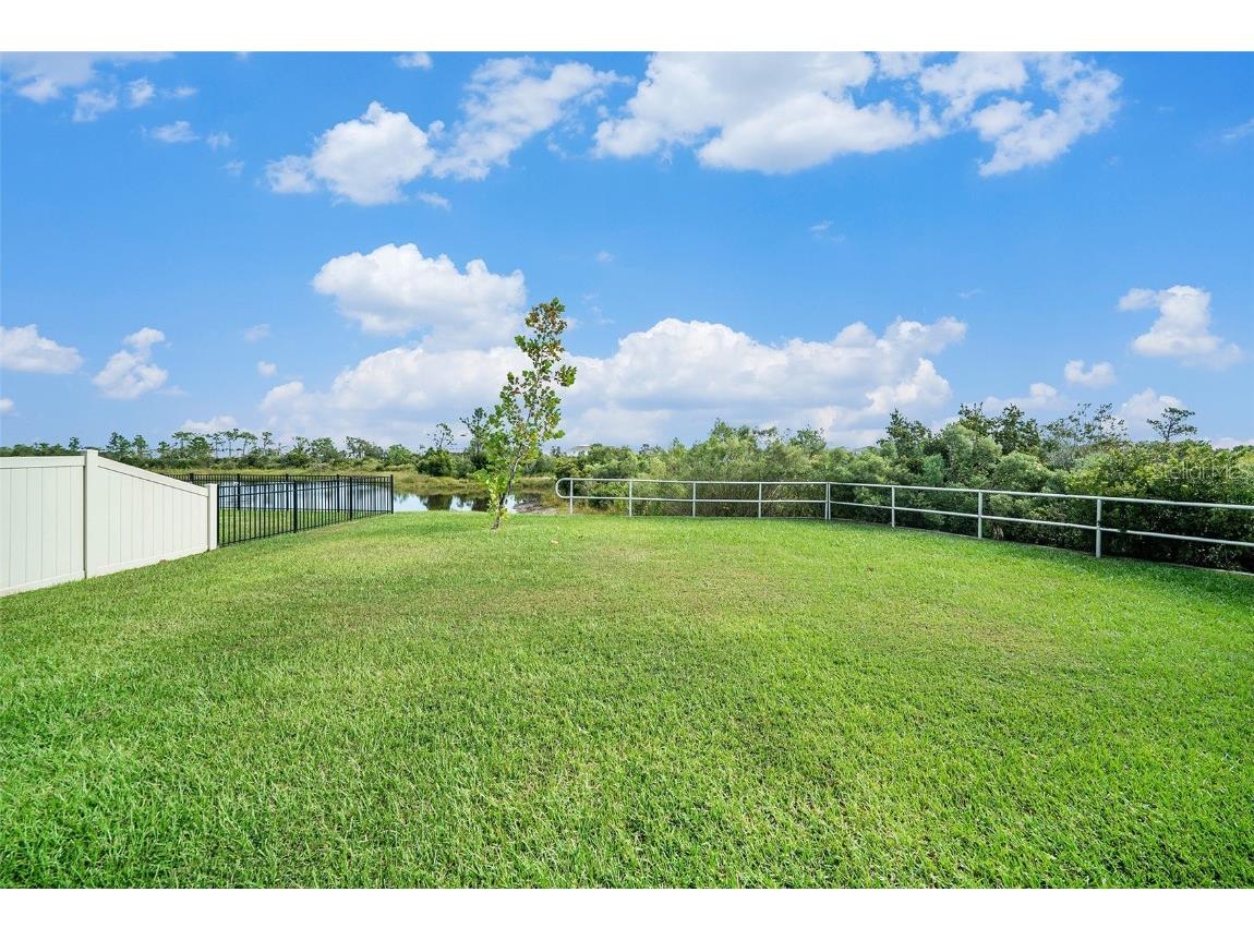 5430 Thistle Field Court Wesley Chapel FL 33545 TB8395883 image29