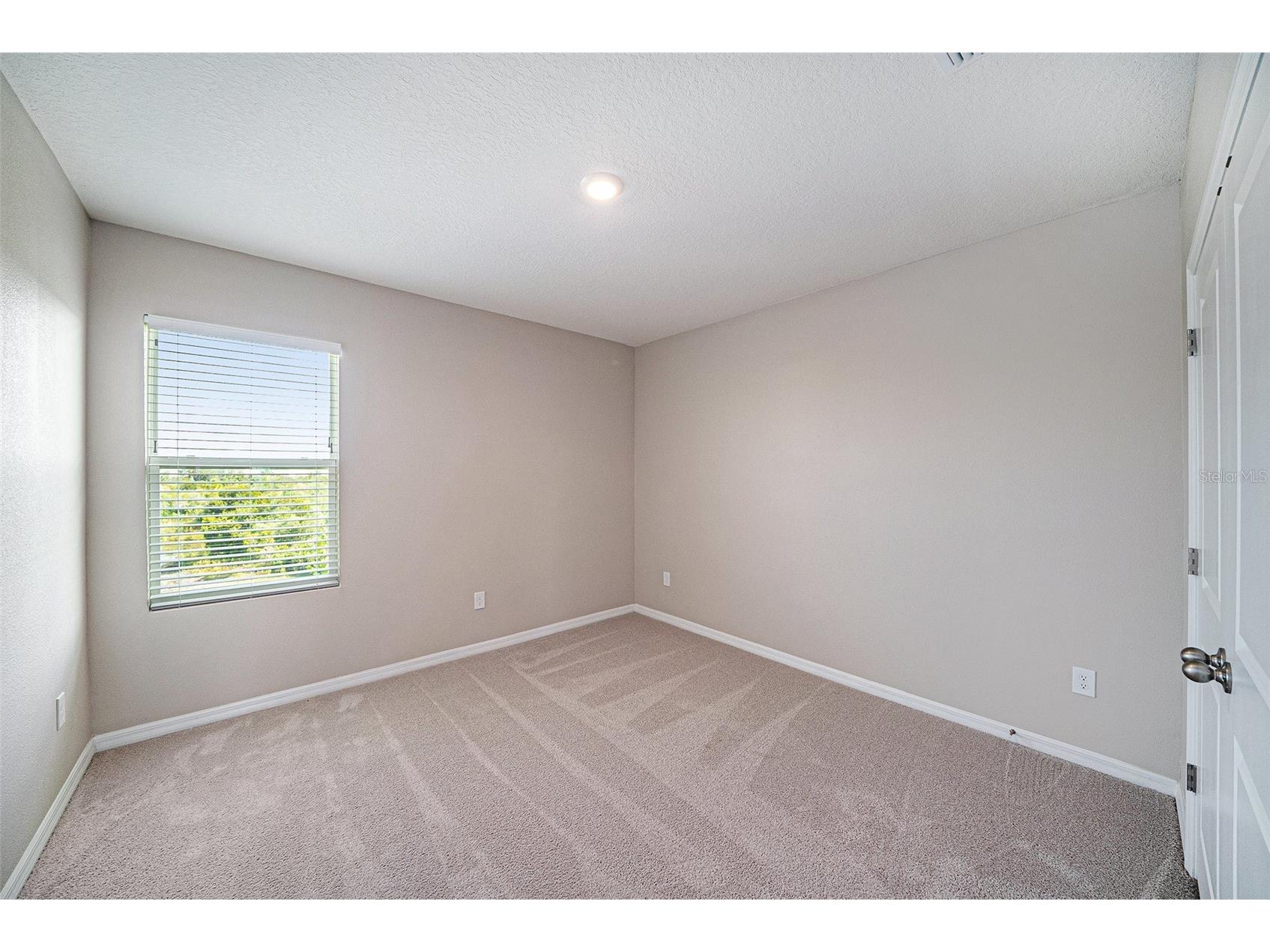 5430 Thistle Field Court Wesley Chapel FL 33545 TB8503291 image20