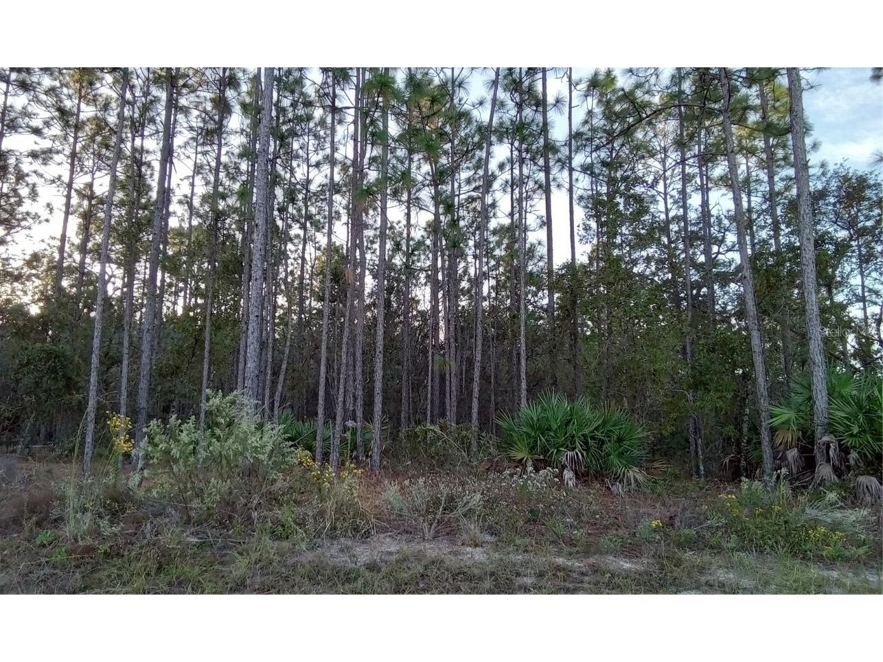 5430 W Mustang Boulevard Beverly Hills FL 34465 OM673894 image1