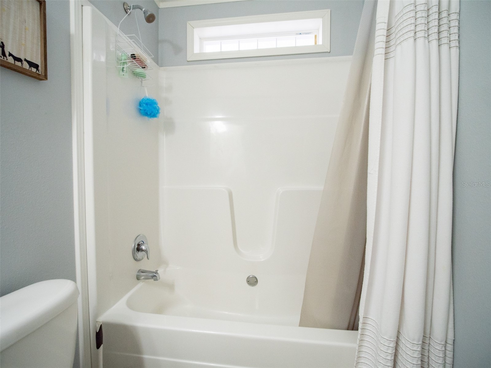 5431 163rd Path Live Oak FL 32060 GC537537 image38