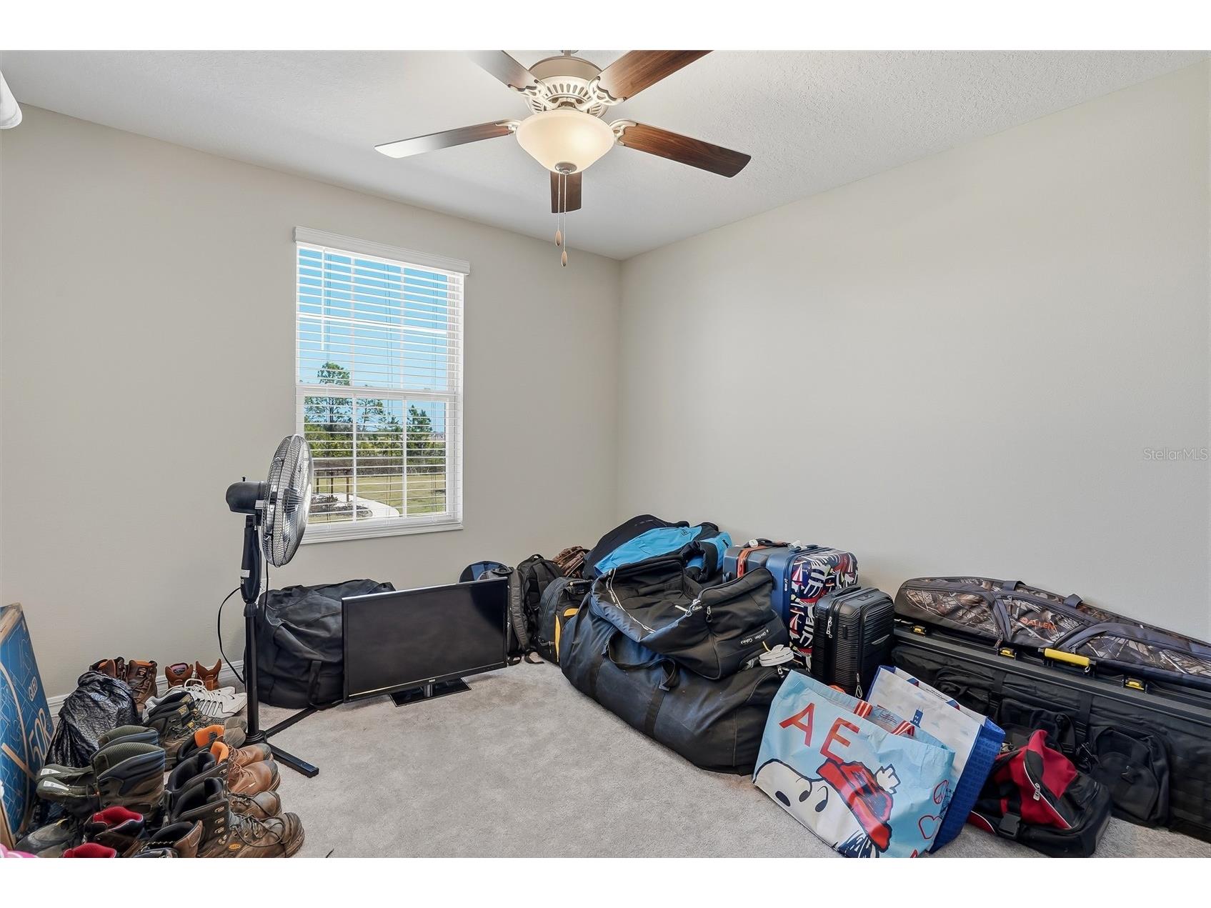 5431 Amaryllis Garden Street Ruskin FL 33570 TB8481051 image33