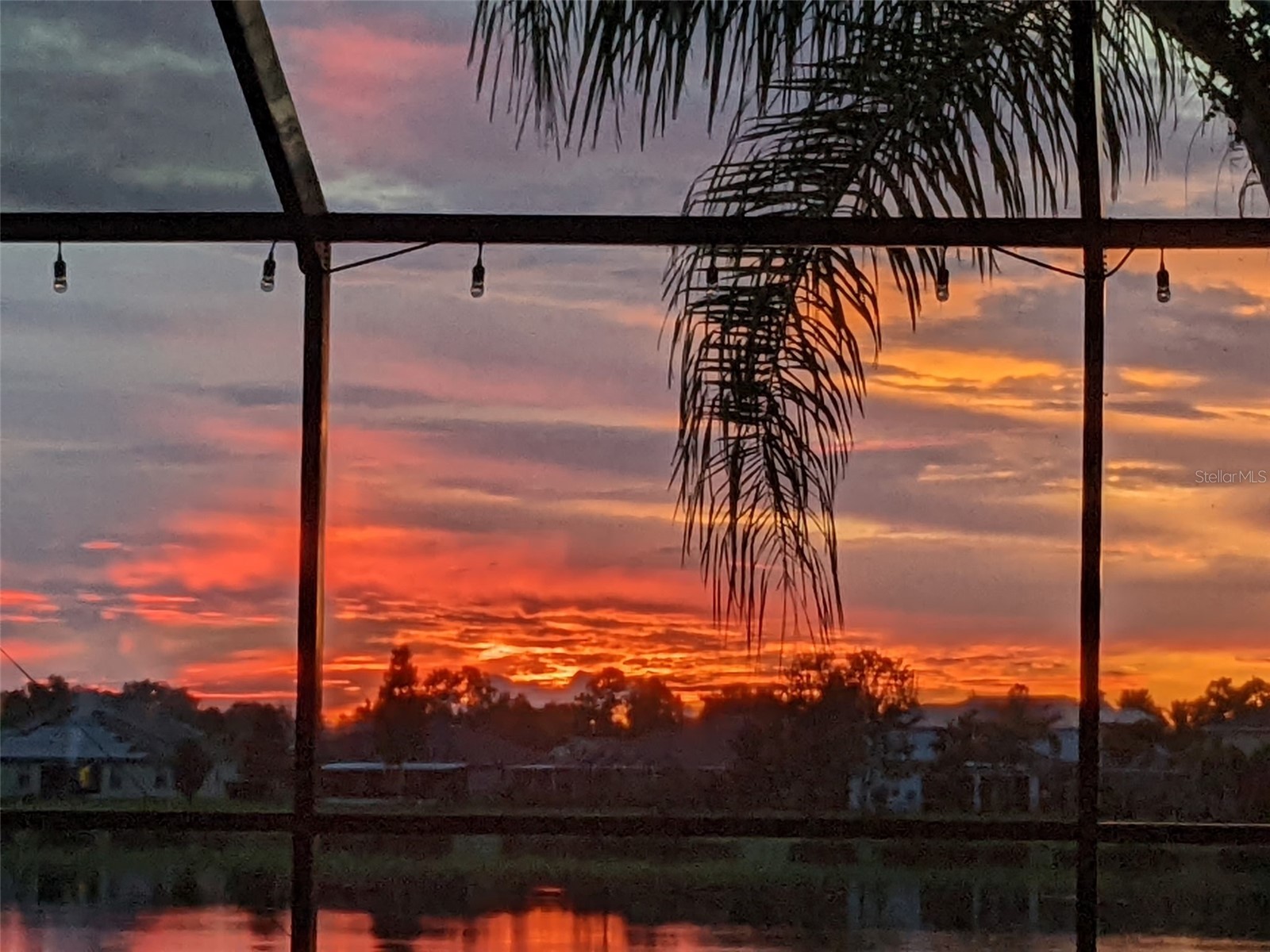 5431 Sandy Shell Drive Apollo Beach FL 33572 TB8474243 image44