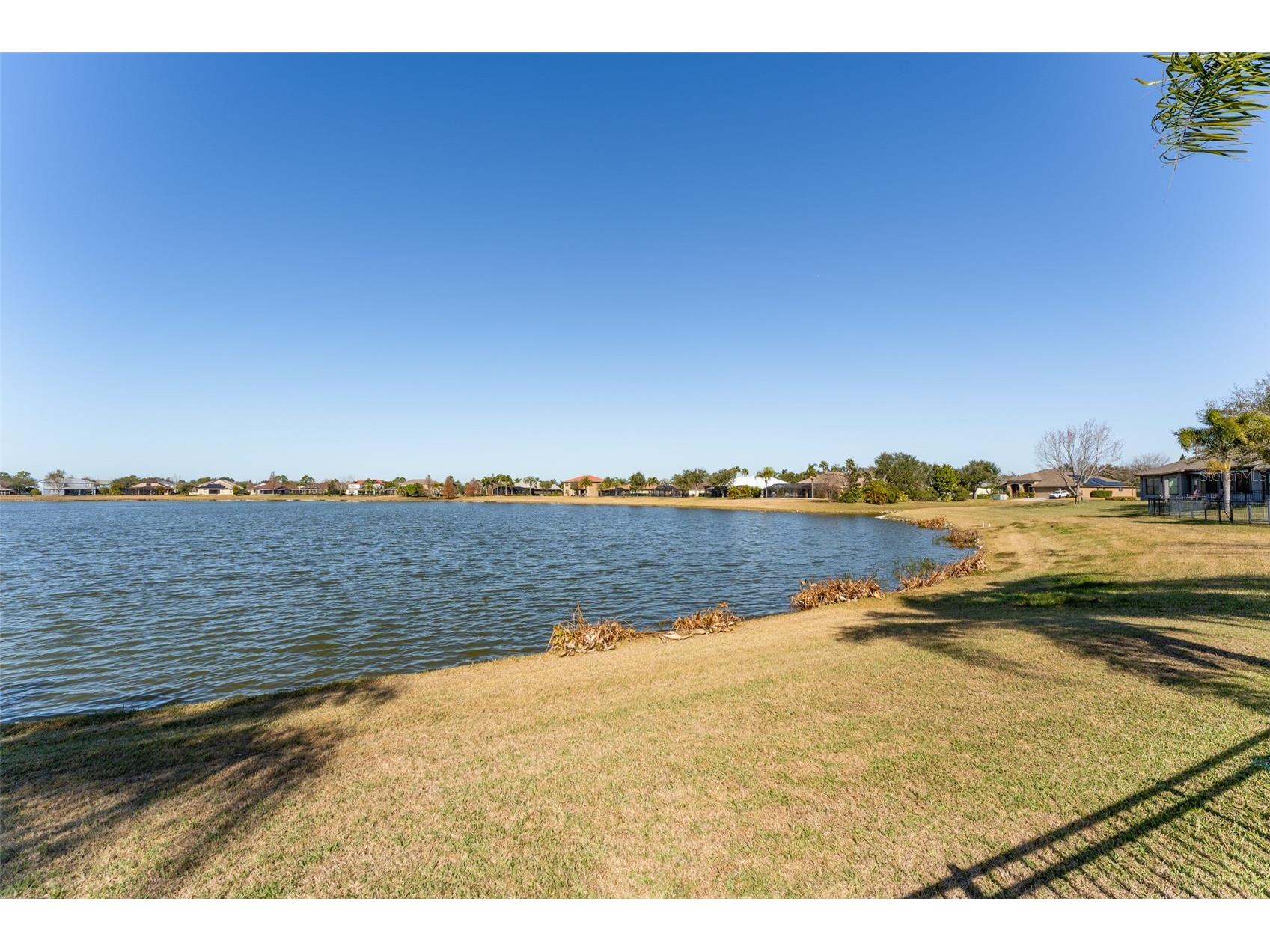 5431 Sandy Shell Drive Apollo Beach FL 33572 TB8474243 image63