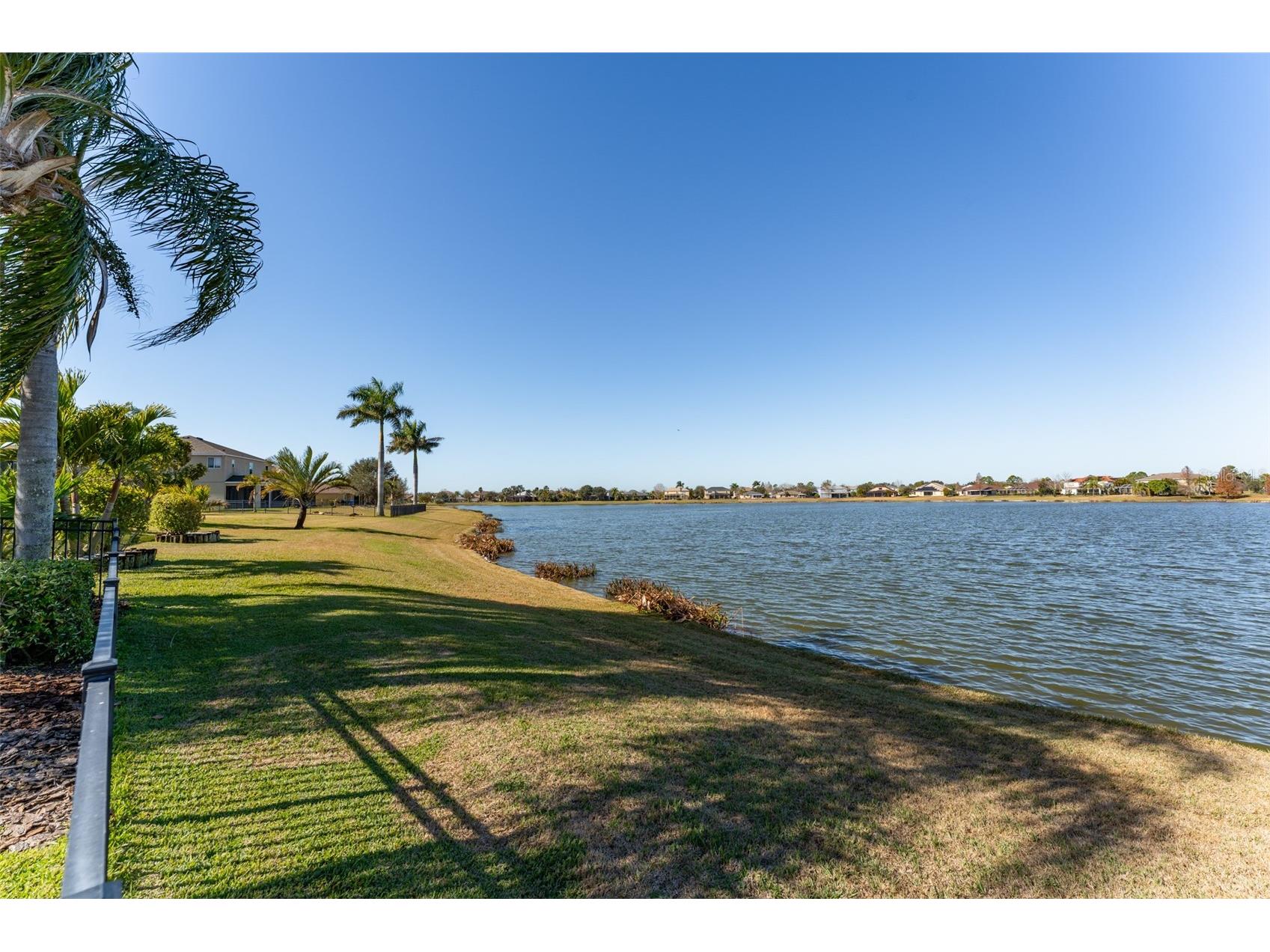 5431 Sandy Shell Drive Apollo Beach FL 33572 TB8474243 image64