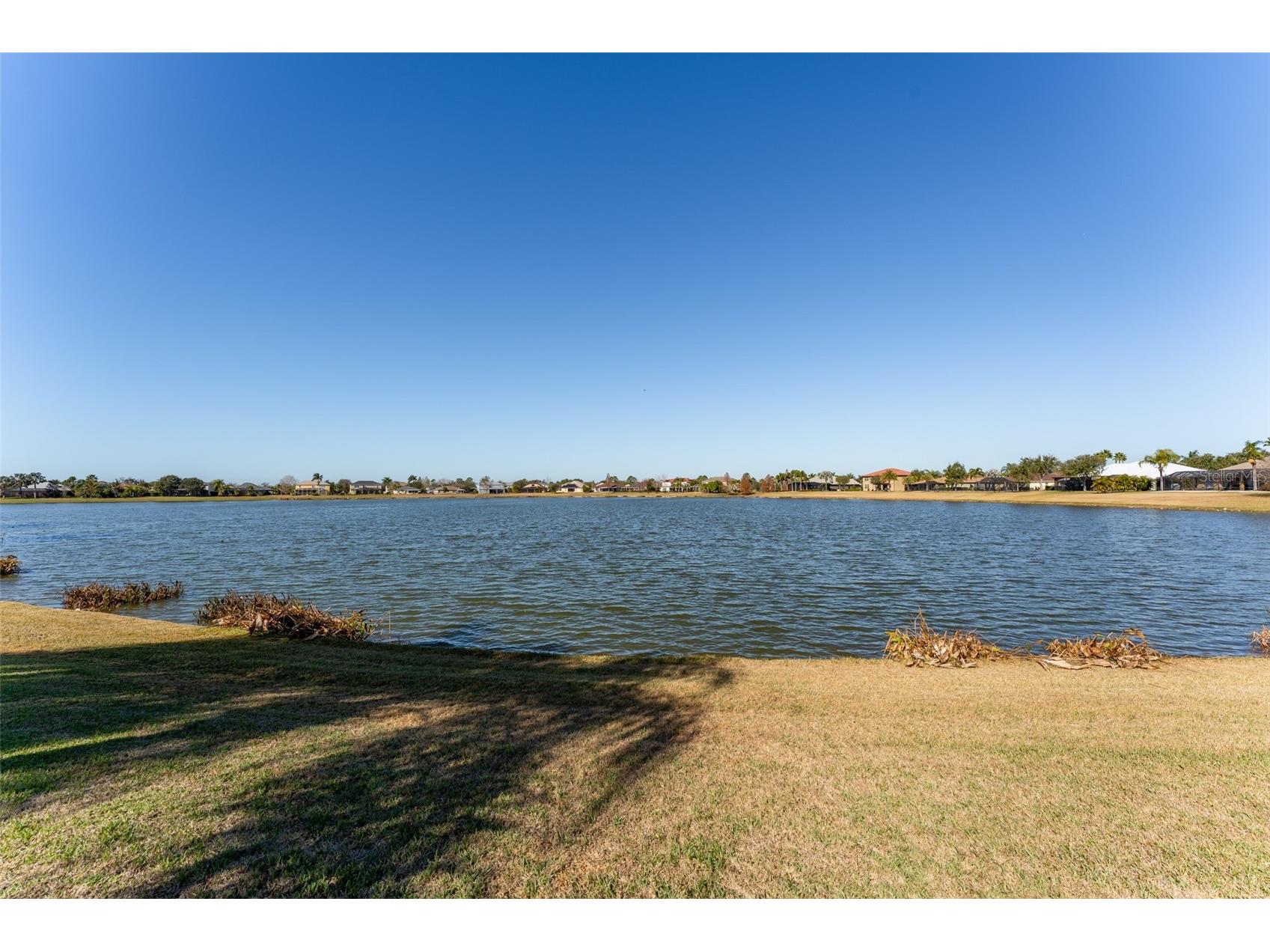 5431 Sandy Shell Drive Apollo Beach FL 33572 TB8474243 image65