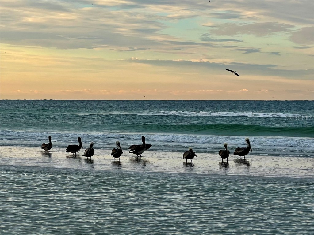 5432 Cape Leyte Drive Sarasota FL 34242 A4649500 image38