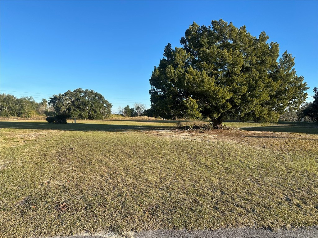 5432 Chestnut Ridge Road Dade City FL 33523 G5105320 image3