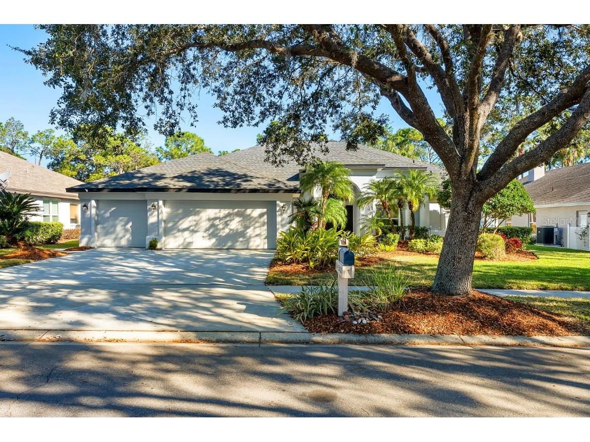 5433 Burnt Hickory Drive Valrico FL 33596 T3502326 image1