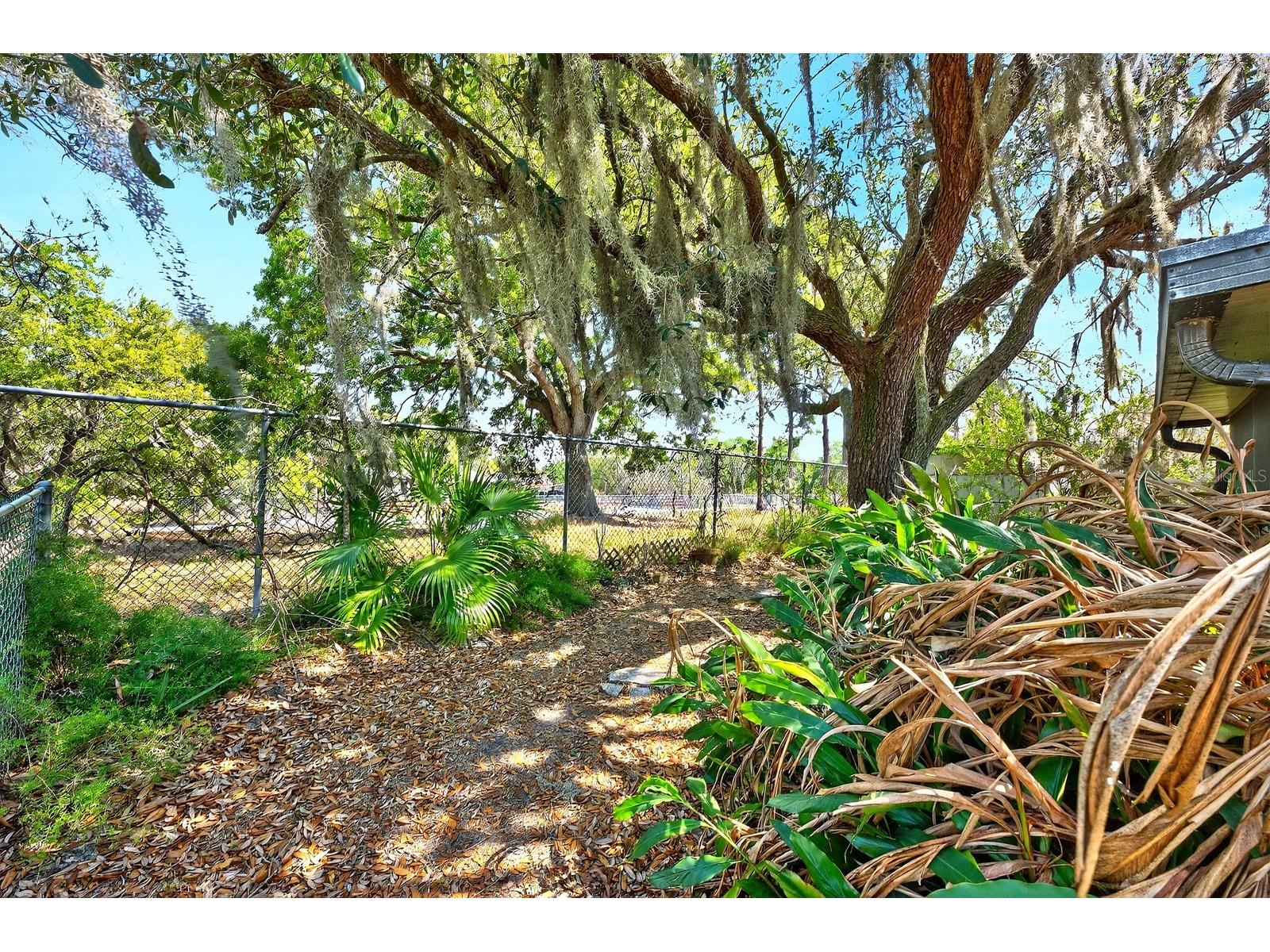 5433 Pinetrail Way Orlando FL 32822 O6391803 image22