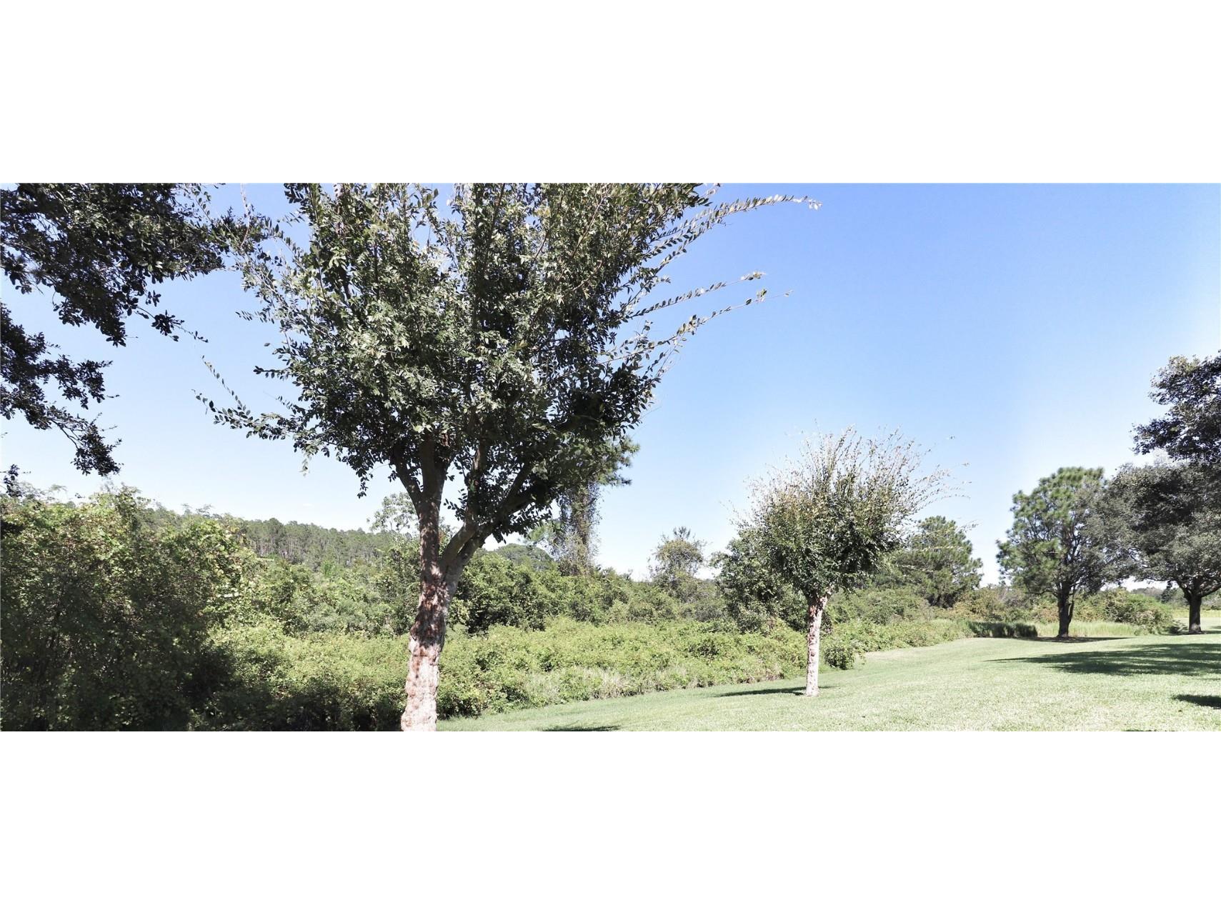 5433 Sir Churchill Drive Leesburg FL 34748 G5074487 image24