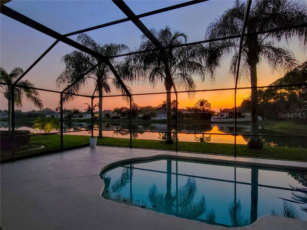 5433 War Admiral Drive Wesley Chapel FL 33544 T3430948 image1