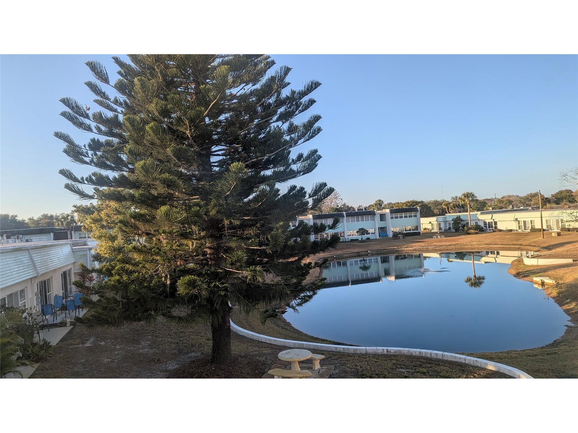 5434 Chad Place #14 New Port Richey FL 34652 O6381397 image8