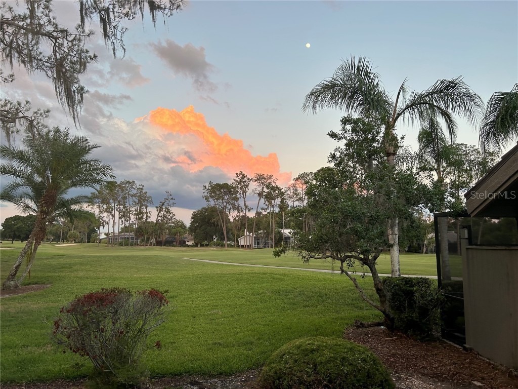 5434 Kemkerry Road Wesley Chapel FL 33543 TB8374667 image36