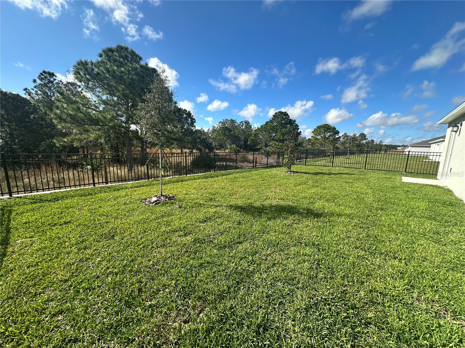 5434 Lewisham Drive Davenport FL 33837 O6373789 image8