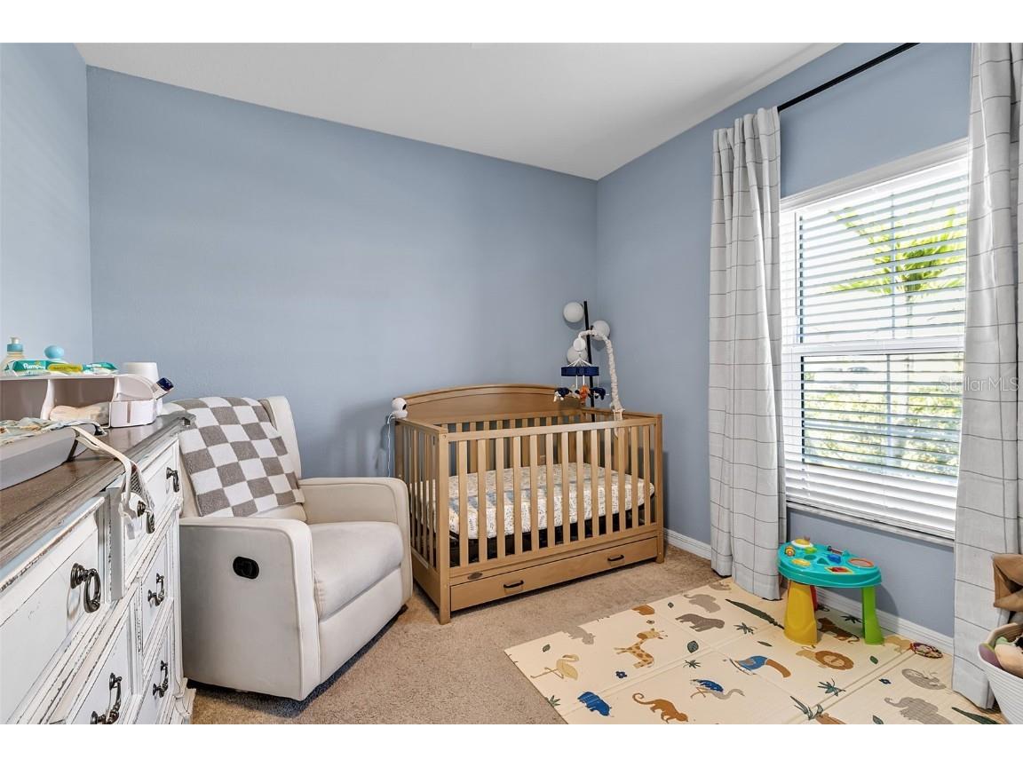 5434 Patano Loop Palmetto FL 34221 A4670672 image39