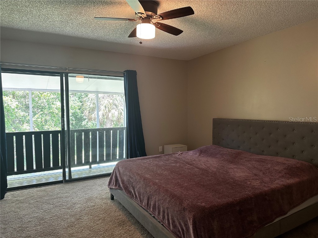 5434 Saddlebrook Way #3 Wesley Chapel FL 33543 TB8350898 image14