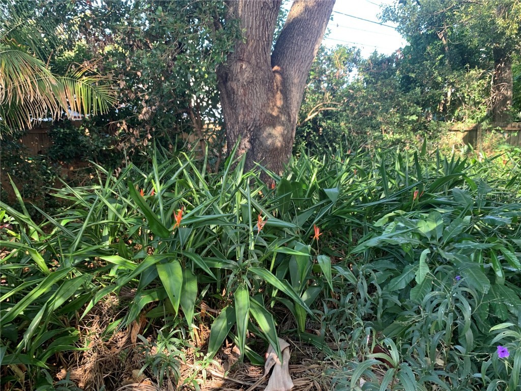 5435 18th Avenue N Saint Petersburg FL 33710 TB8450254 image7