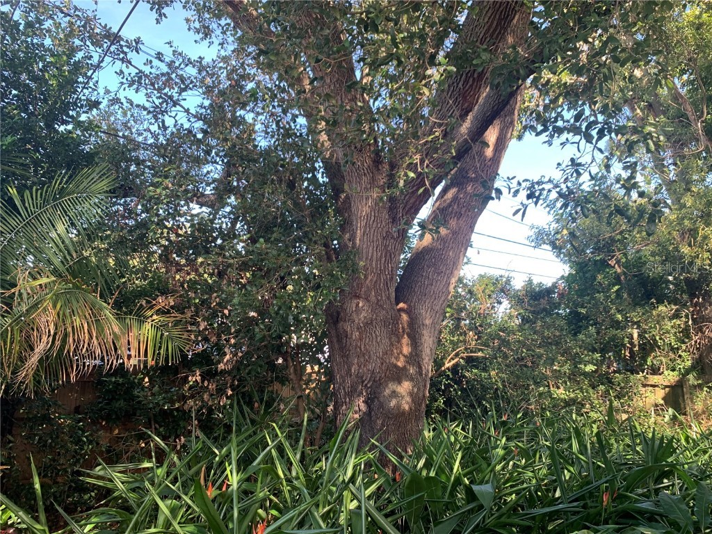 5435 18th Avenue N Saint Petersburg FL 33710 TB8450254 image9