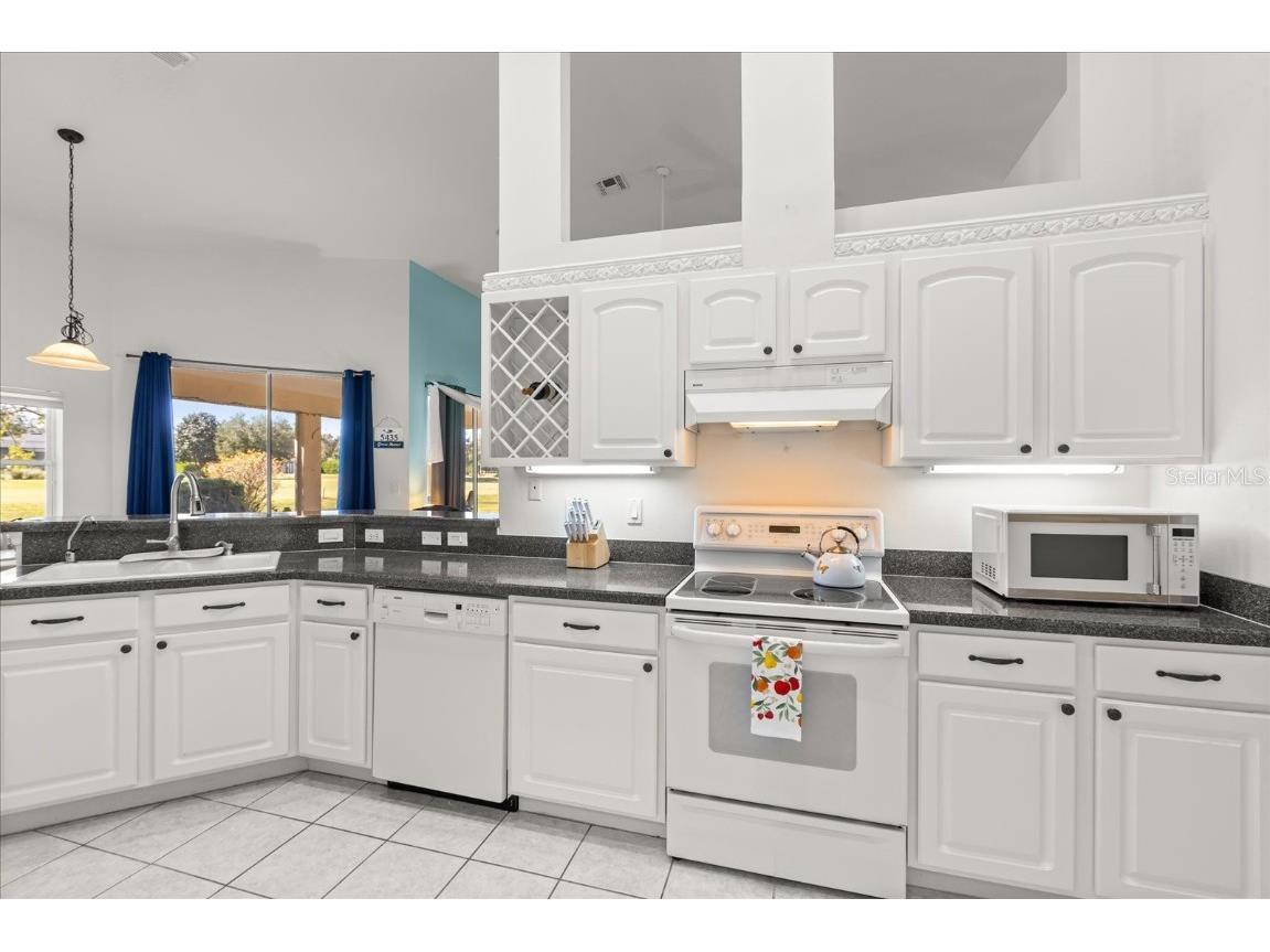 5435 Grove Manor Lady Lake FL 32159 NS1086097 image21