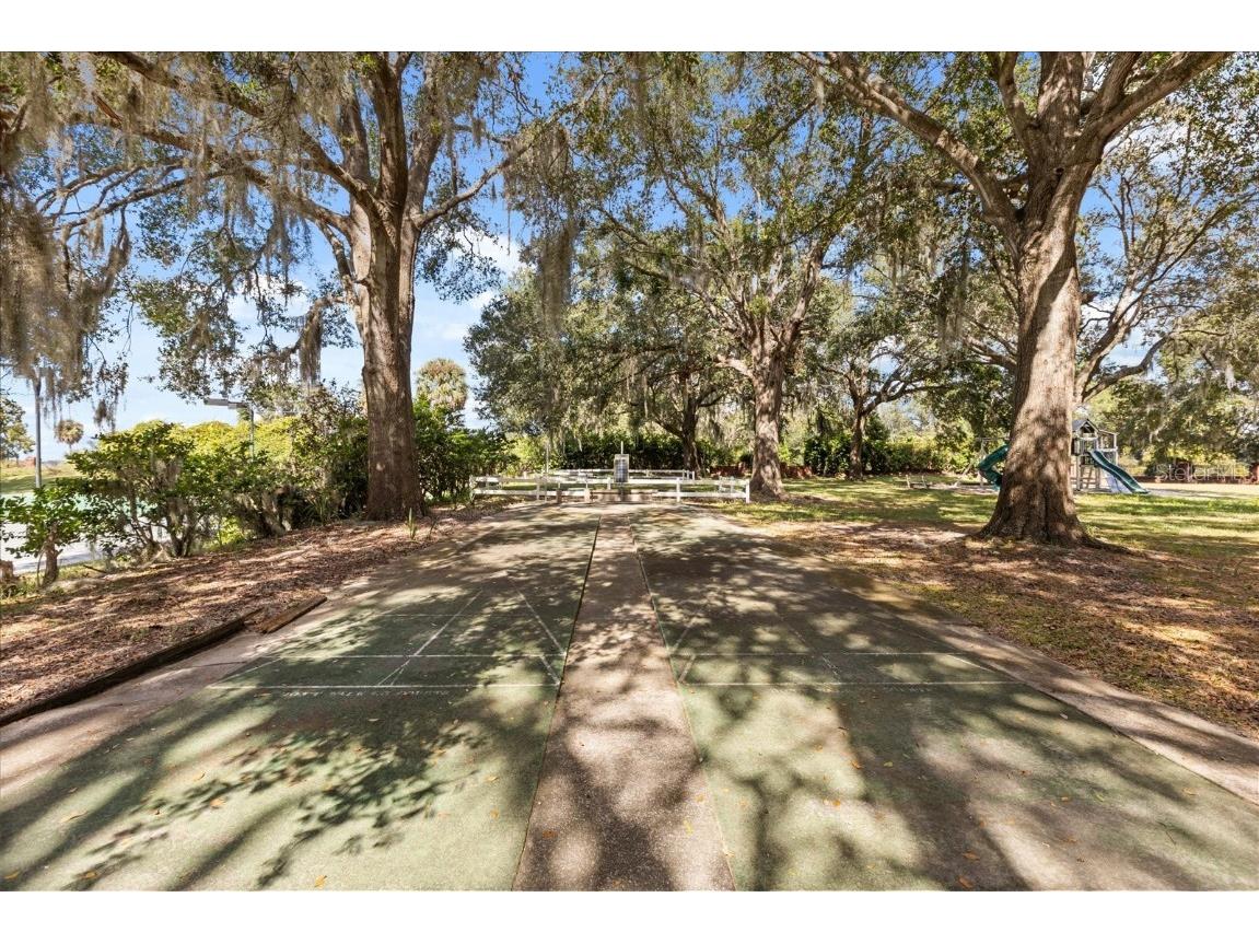 5435 Grove Manor Lady Lake FL 32159 NS1086097 image39