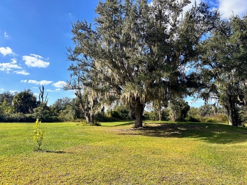 5435 NE 153rd Place Road Citra FL 32113 OM713096 image17