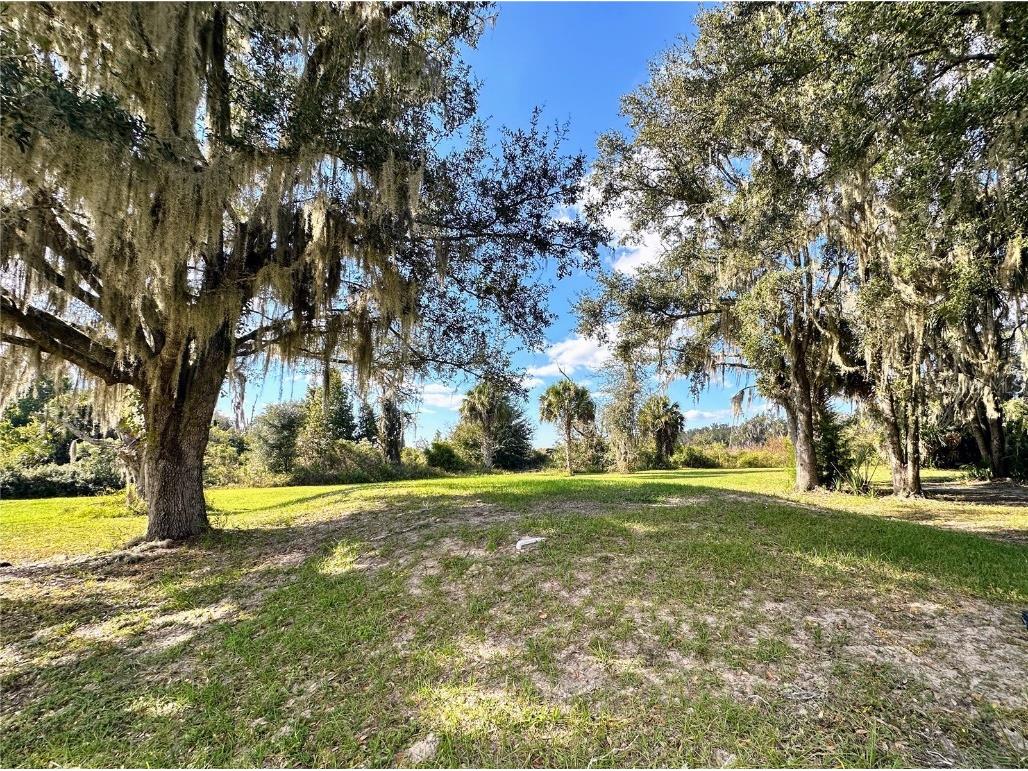 5435 NE 153rd Place Road Citra FL 32113 OM713096 image2