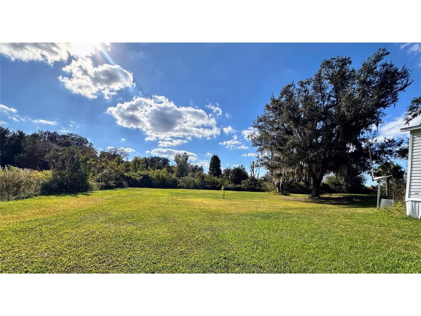 5435 NE 153rd Place Road Citra FL 32113 OM713096 image4