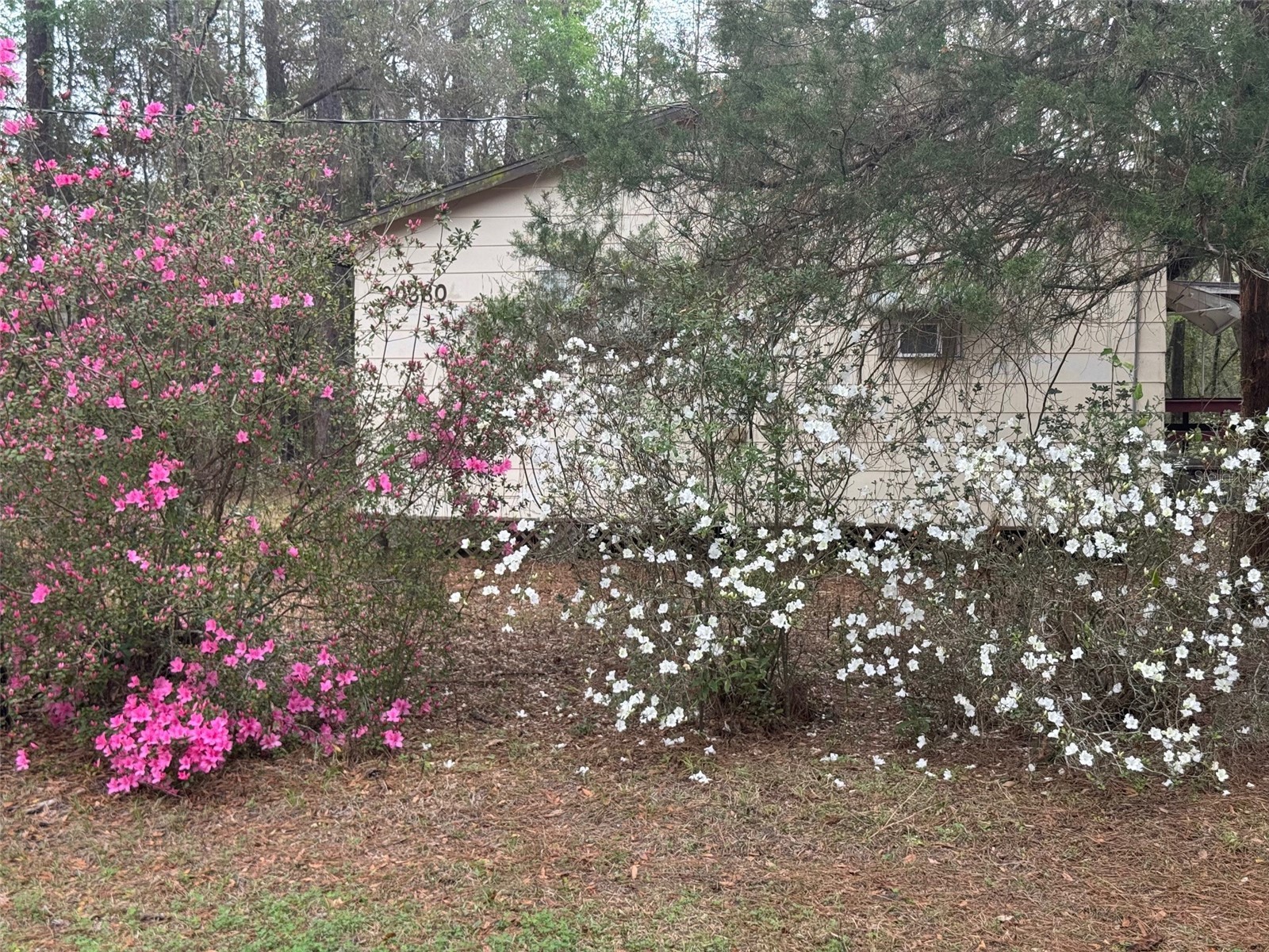 5435 SW 204th Avenue Dunnellon FL 34431 OM720729 image2