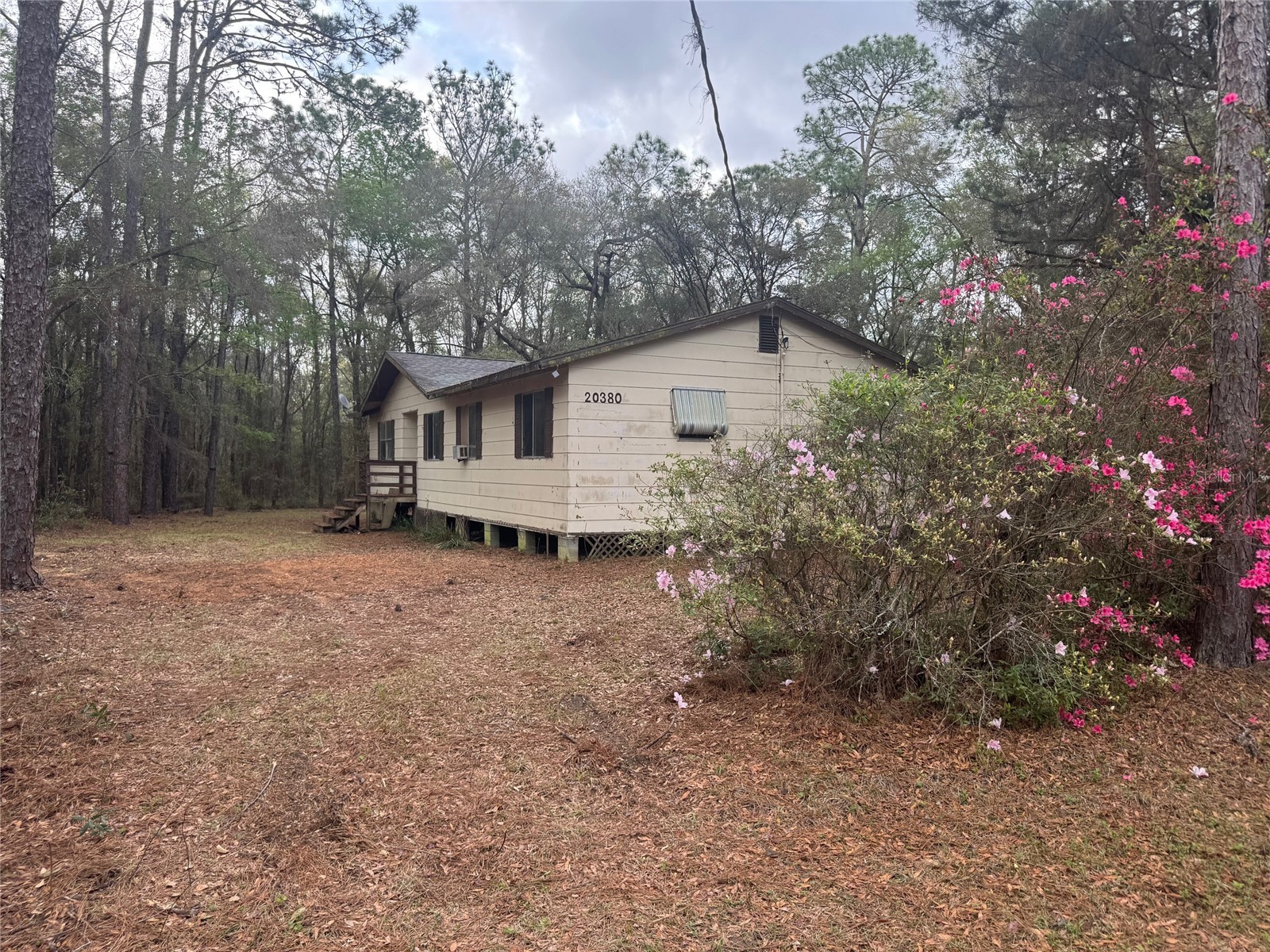 5435 SW 204th Avenue Dunnellon FL 34431 OM720729 image3