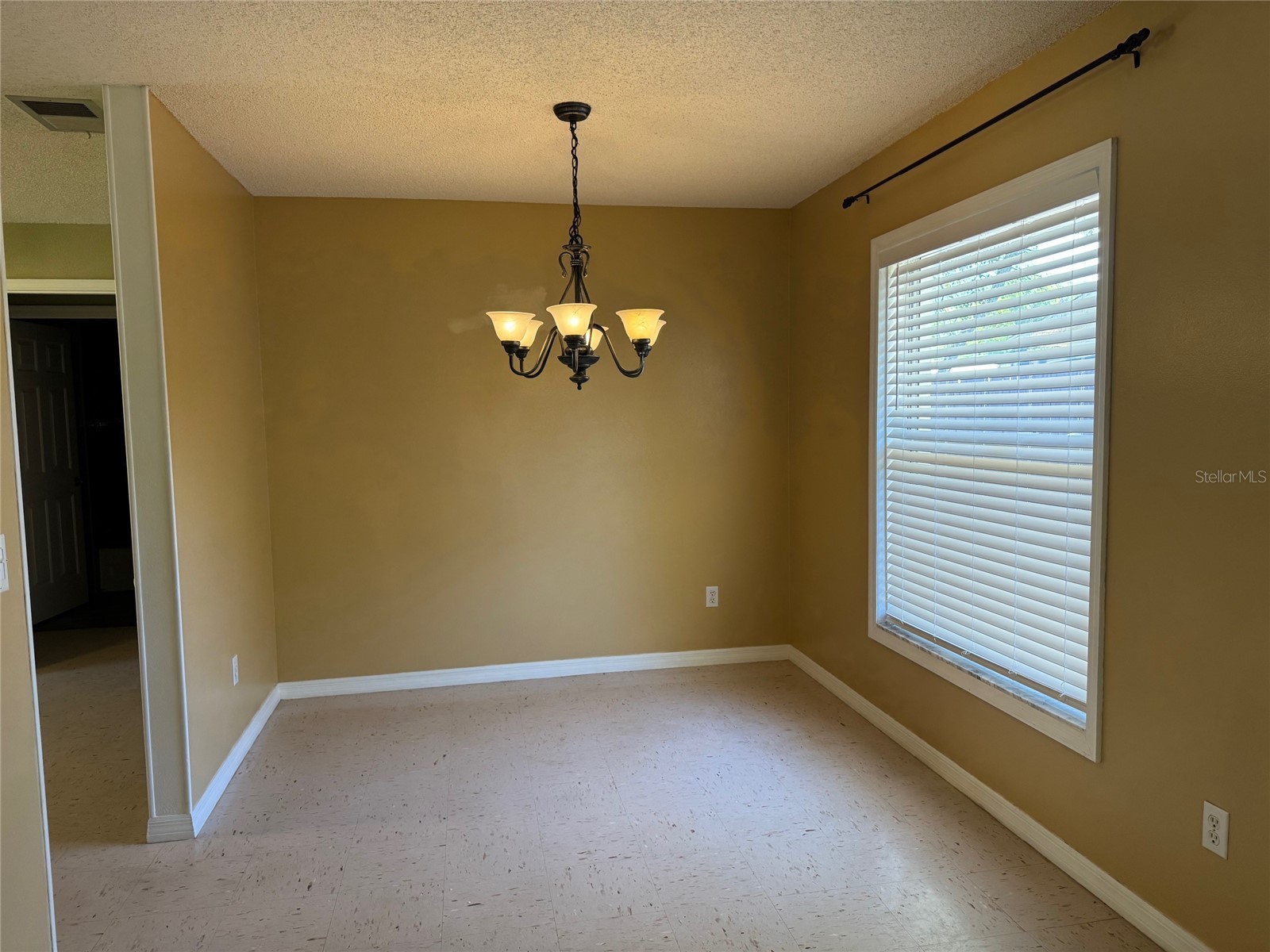 5435 Tangerine Drive Zephyrhills FL 33542 TB8500153 image10