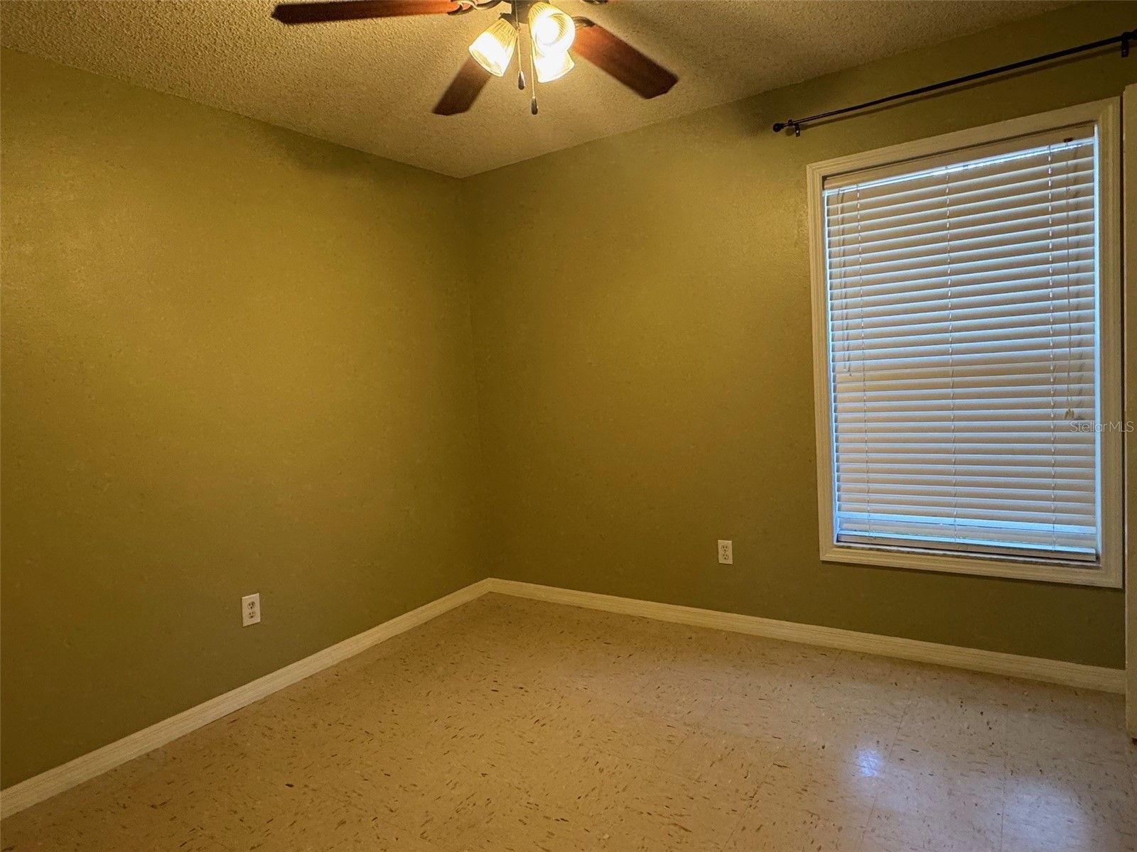 5435 Tangerine Drive Zephyrhills FL 33542 TB8500153 image7