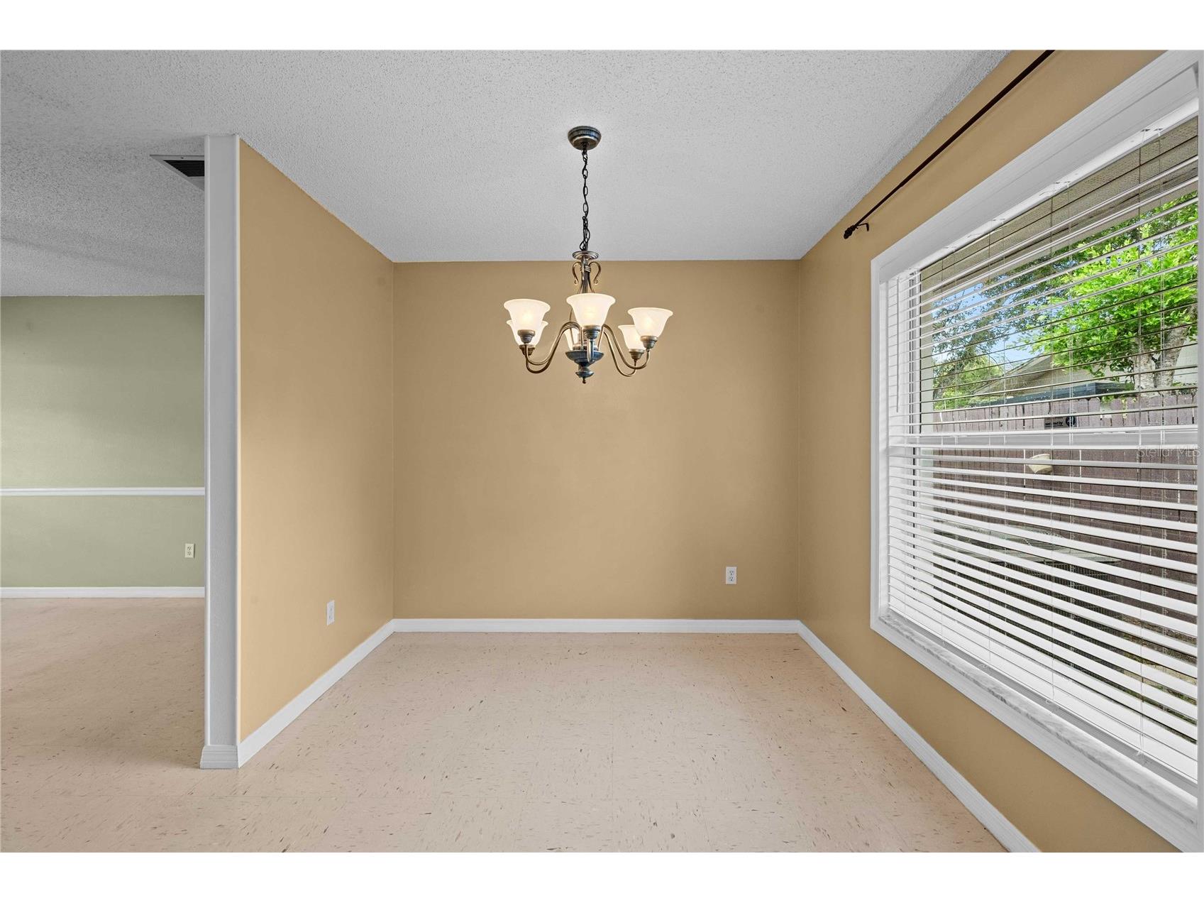 5435 Tangerine Drive Zephyrhills FL 33542 TB8523977 image22