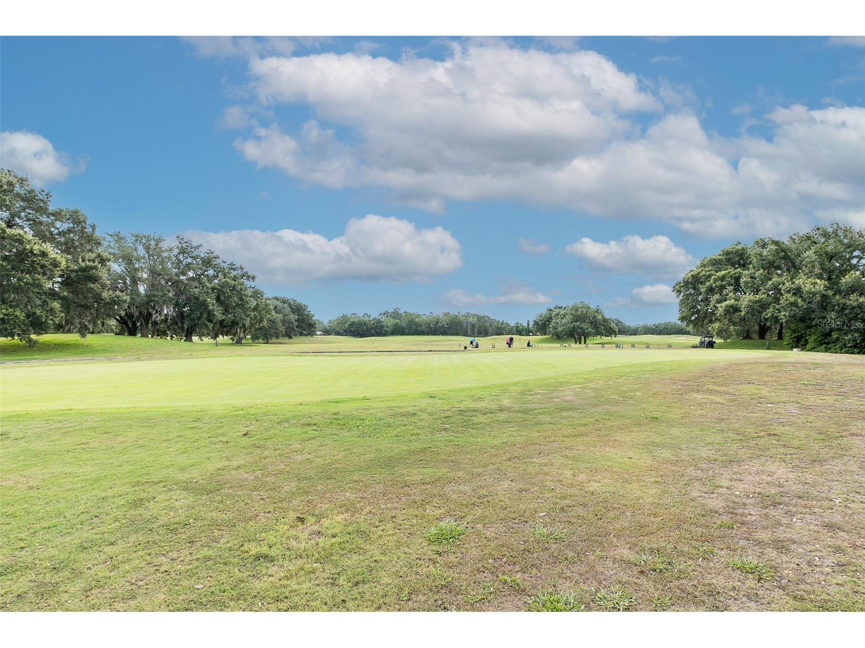 5436 Championship Cup Lane Spring Hill FL 34609 TB8523090 image67