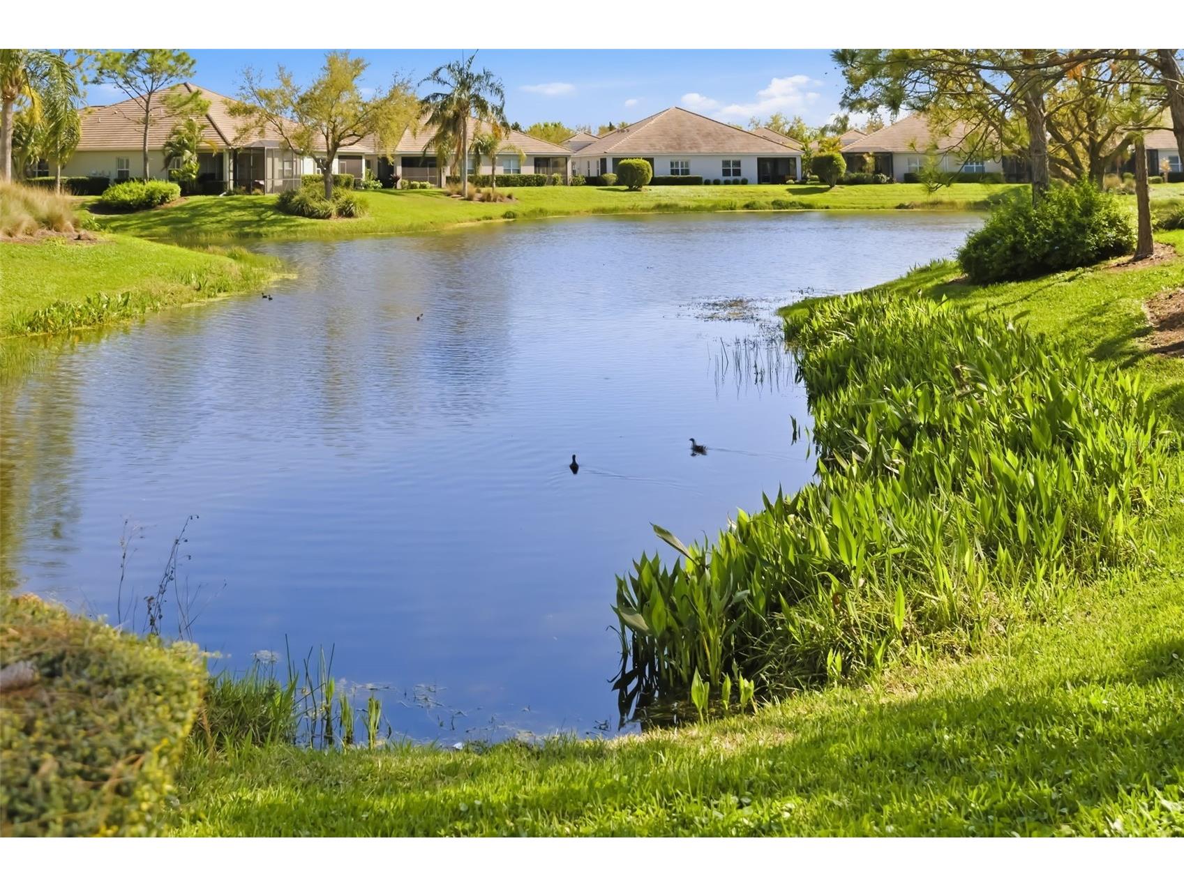 5437 Chatham Square Way Bradenton FL 34203 A4693079 image67