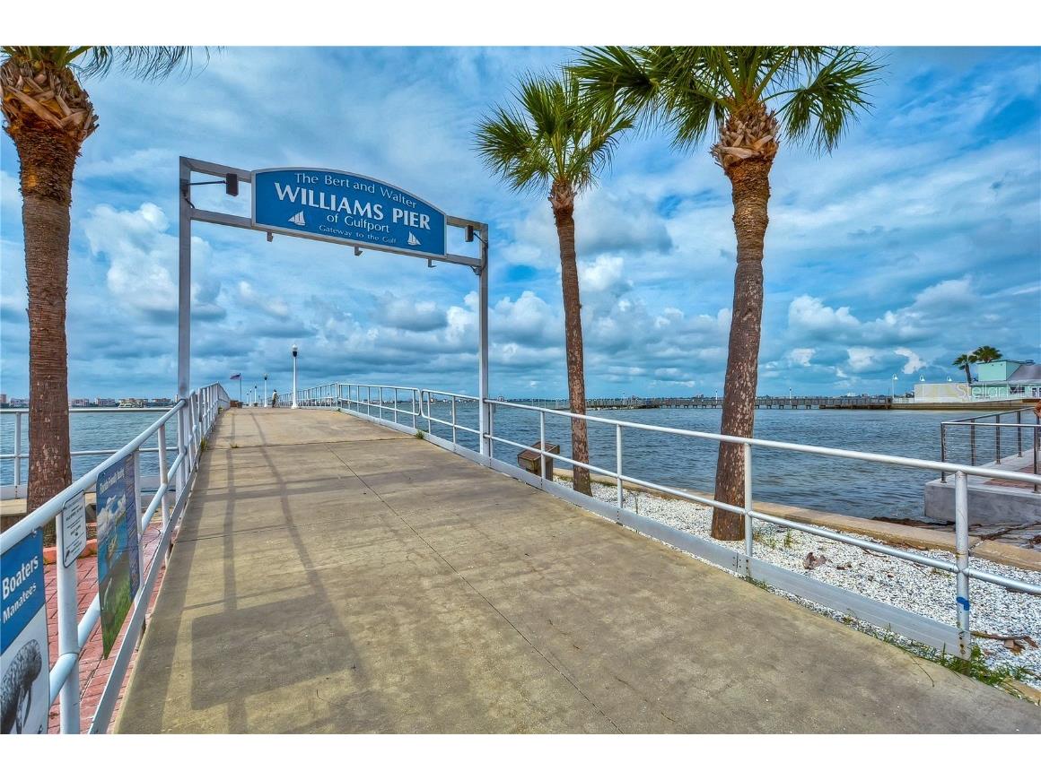 5437 Delette Avenue S Gulfport FL 33707 TB8415159 image53