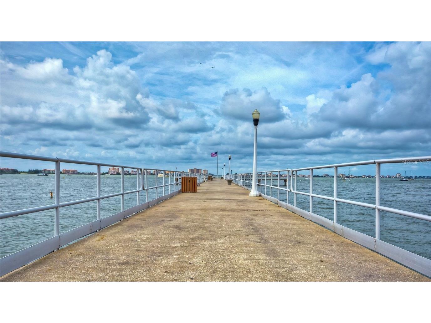 5437 Delette Avenue S Gulfport FL 33707 TB8415159 image55